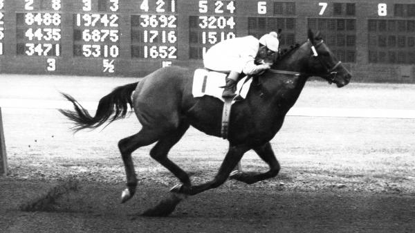 Dominant at Del Mar: Bill Shoemaker’s Greatest Summer