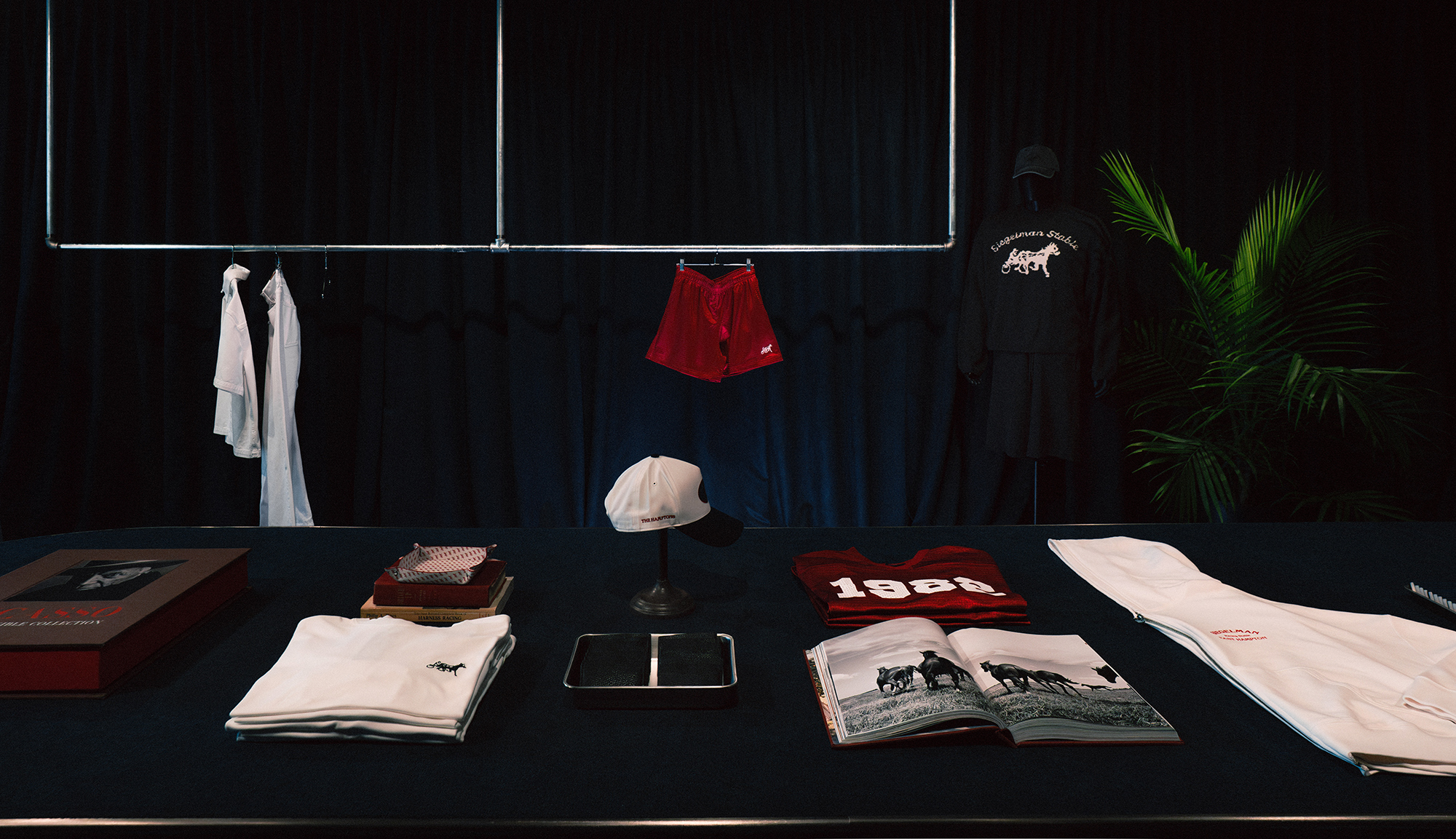 Siegelman Stable designs