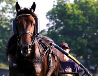 Super Chapter favorite for 100th edition of the Hambletonian – U.S. Trotting News
