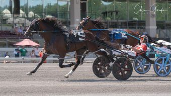 Twisted Destiny, Swingtown win Adios elims; Burke with five in final – U.S. Trotting News