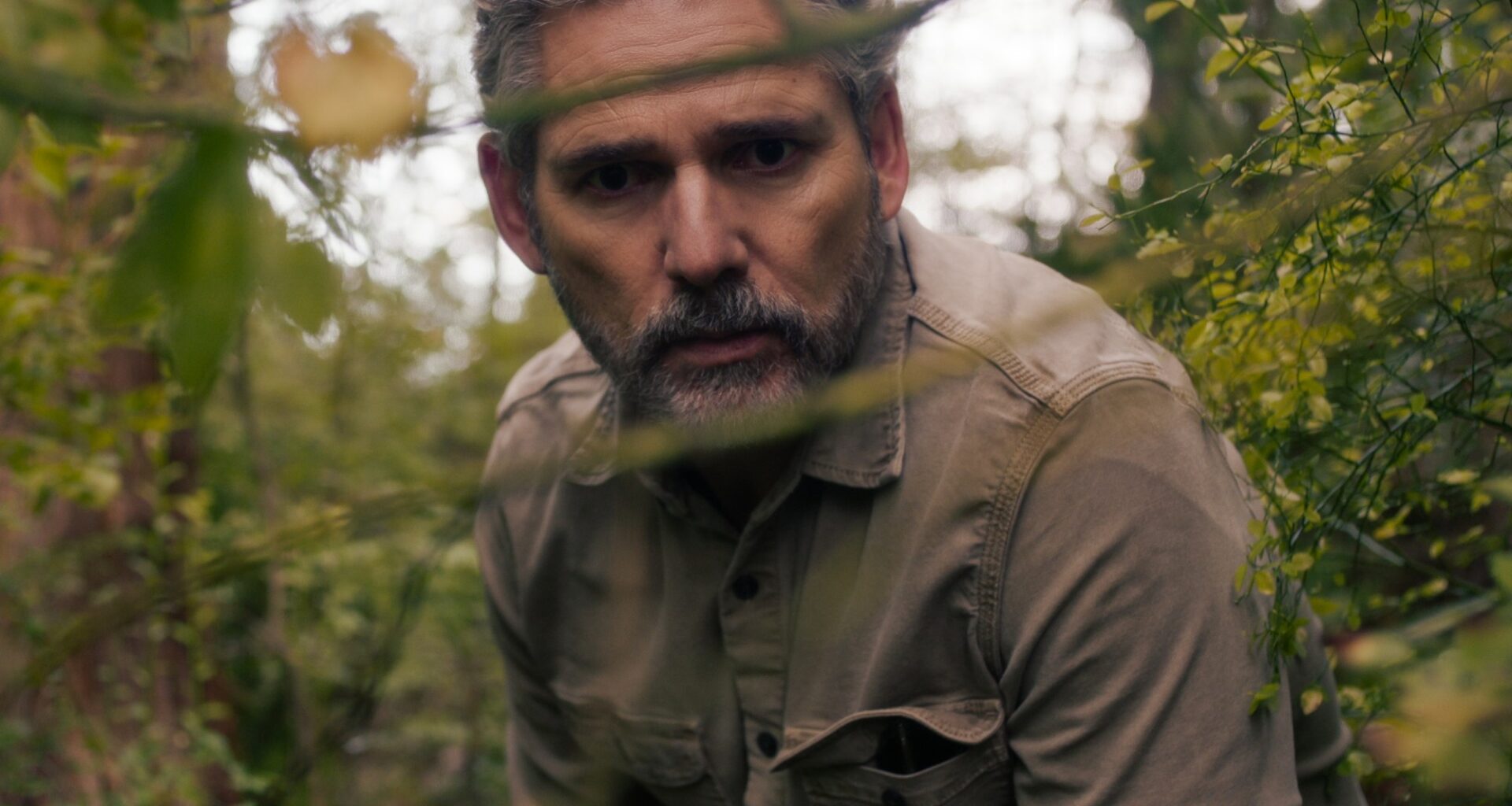 Netflix murder mystery is pretty and compelling