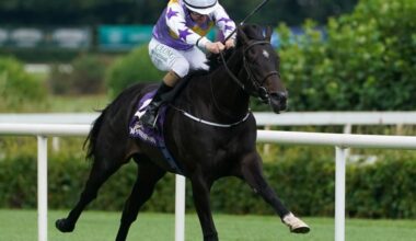 Late decision expected on Green Impact and the King George | Ascot