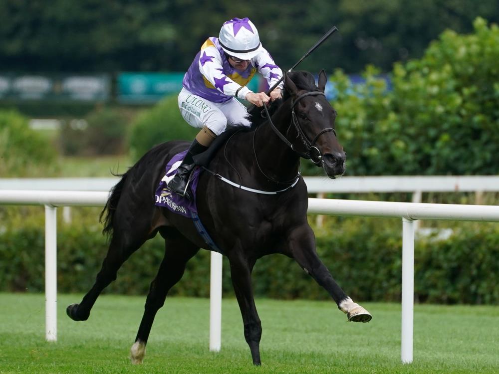 Late decision expected on Green Impact and the King George | Ascot