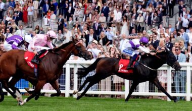 Fearnot backs up Britannia third to shine at Ascot | Ascot