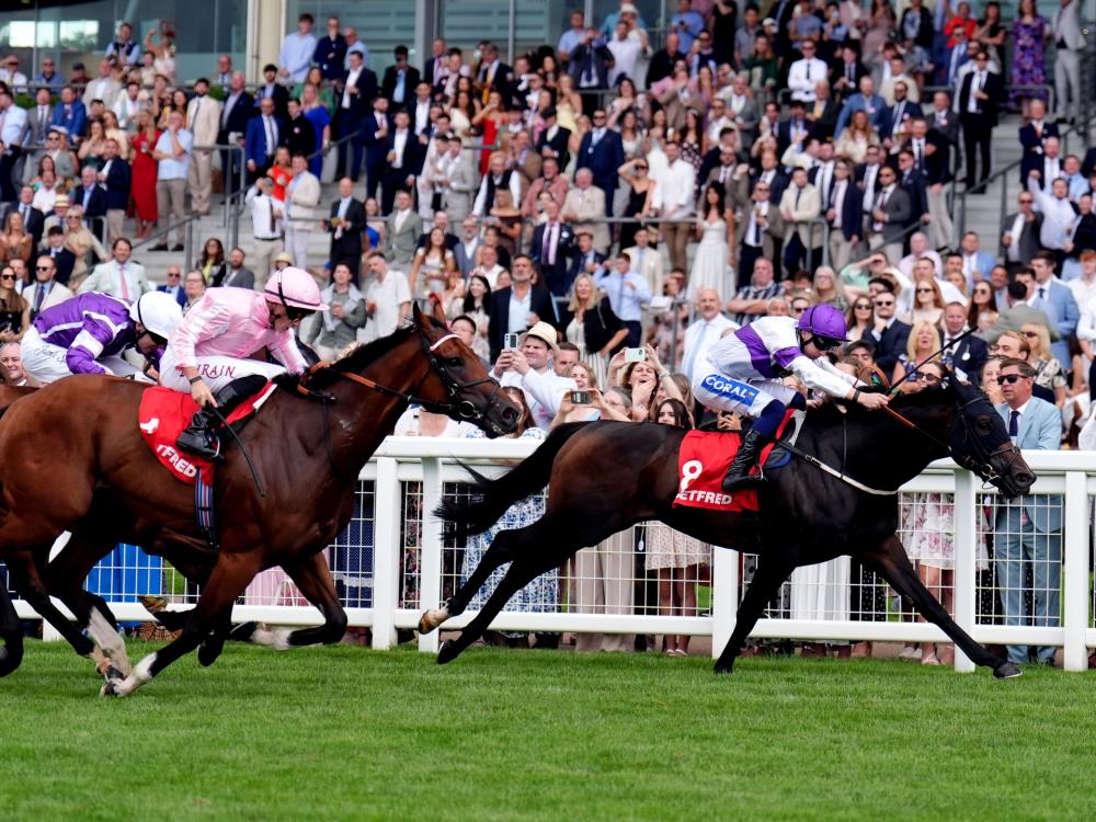 Fearnot backs up Britannia third to shine at Ascot | Ascot