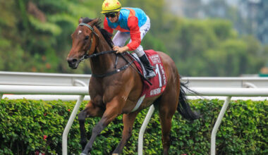 Ka Ying Rising - image Grant Courtney