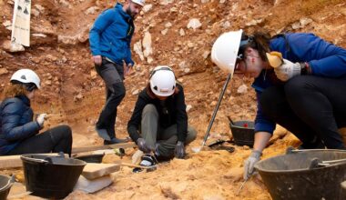Decapitation of a child 850,000 years ago offers new evidence of cannibalism at Atapuerca
