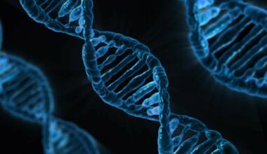 Metastable mystery! Scientists answer a 20-year-old question in epigenetics