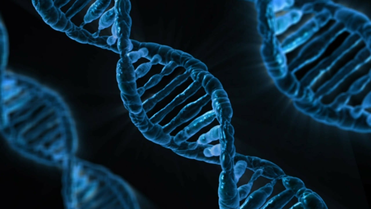 Metastable mystery! Scientists answer a 20-year-old question in epigenetics