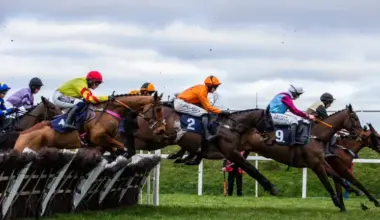 Horses jump elegantly over a jump at Chepstow Races