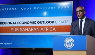 Top 10 African countries with the lowest IMF debt in July 2025