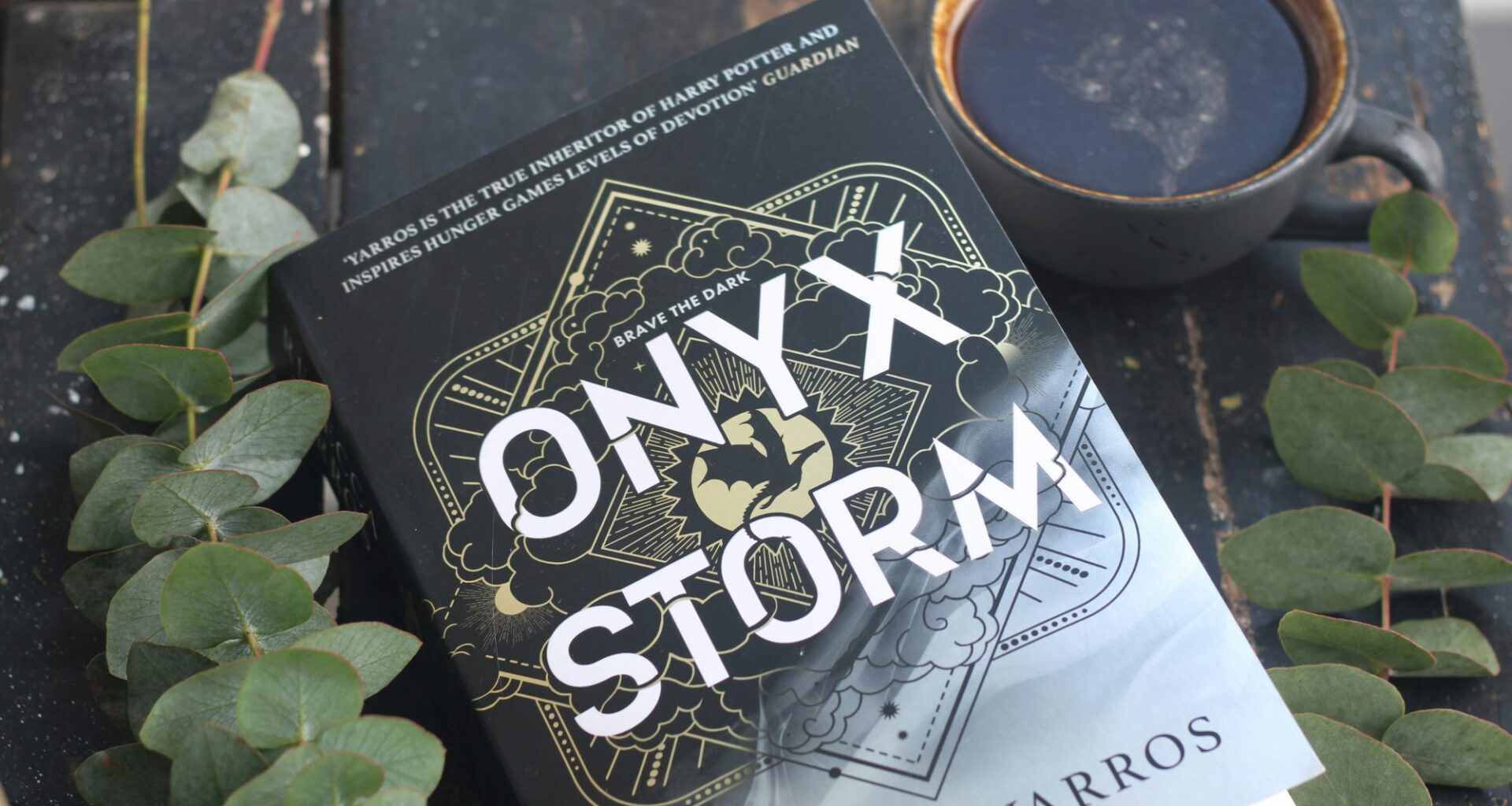 The romance book Onyx Storm.