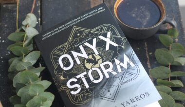 The romance book Onyx Storm.