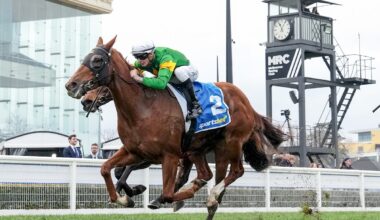 Nichols hoping filly can do Enuff in Lightning Stakes