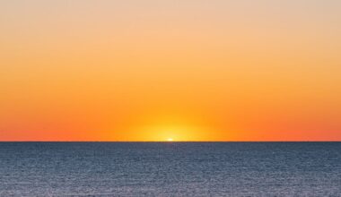 And now for something surreal - by Leigh Haber