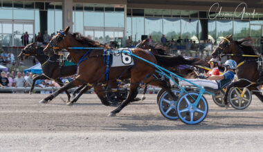 Redemption for Prince Hal Hanover in Adios – U.S. Trotting News