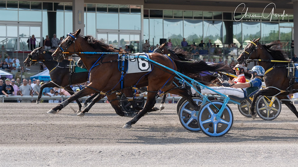 Redemption for Prince Hal Hanover in Adios – U.S. Trotting News
