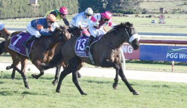 Twin wins make Stewart’s Oamaru excursion worthwhile