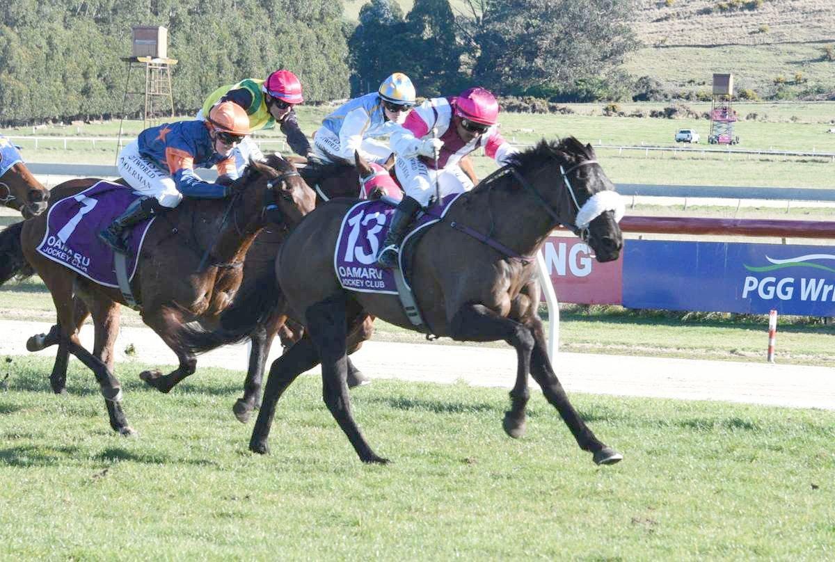 Twin wins make Stewart’s Oamaru excursion worthwhile