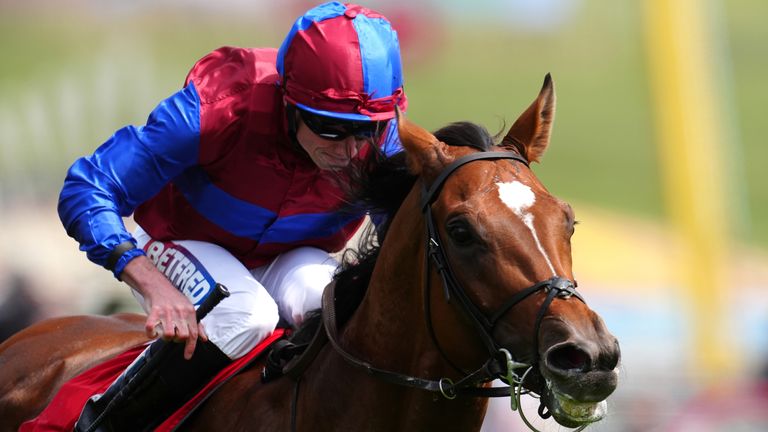 Jan Brueghel is heading for Ascot