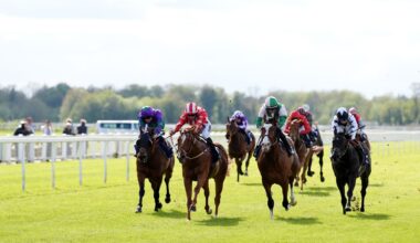 Windsor hosts today's live racing