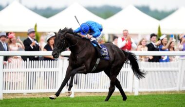 Rebel's Romance is set to take his chance in the King George