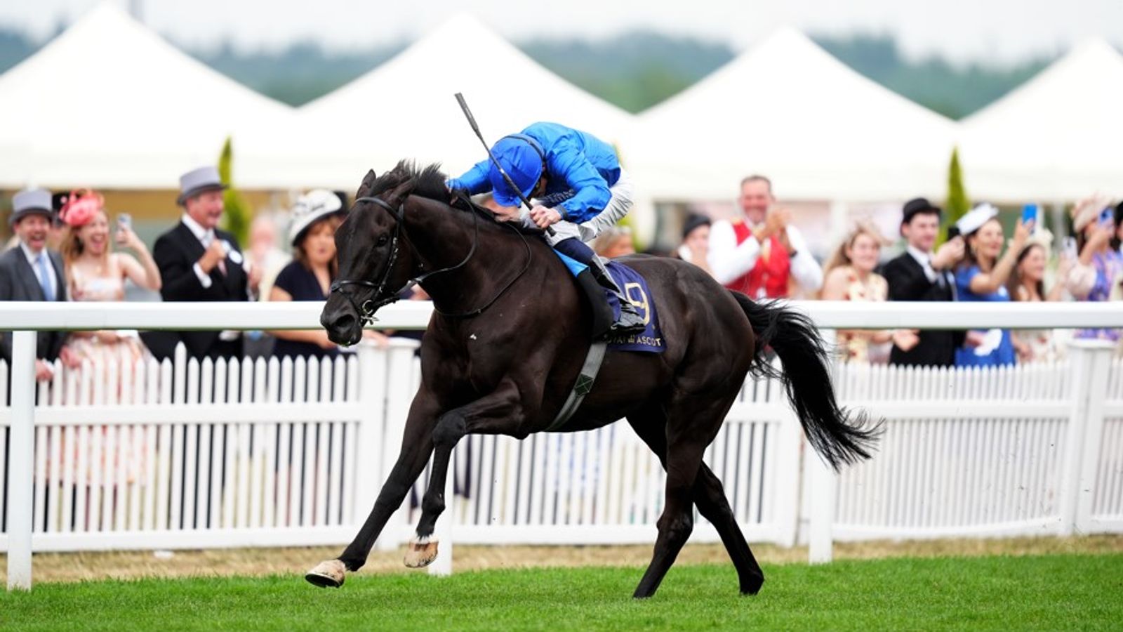 Rebel's Romance is set to take his chance in the King George