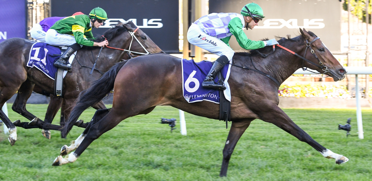 Prebble’s chance to make Aurie’s Star splash | Latest News