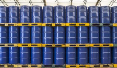 Quest to Regain Market Share Drives Opec-Plus Supply