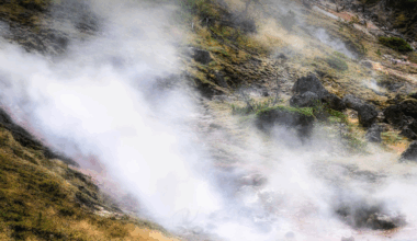 Yellowstone Park