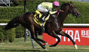 Zulu Kingdom looms large in G2 National Museum of Racing Hall of Fame