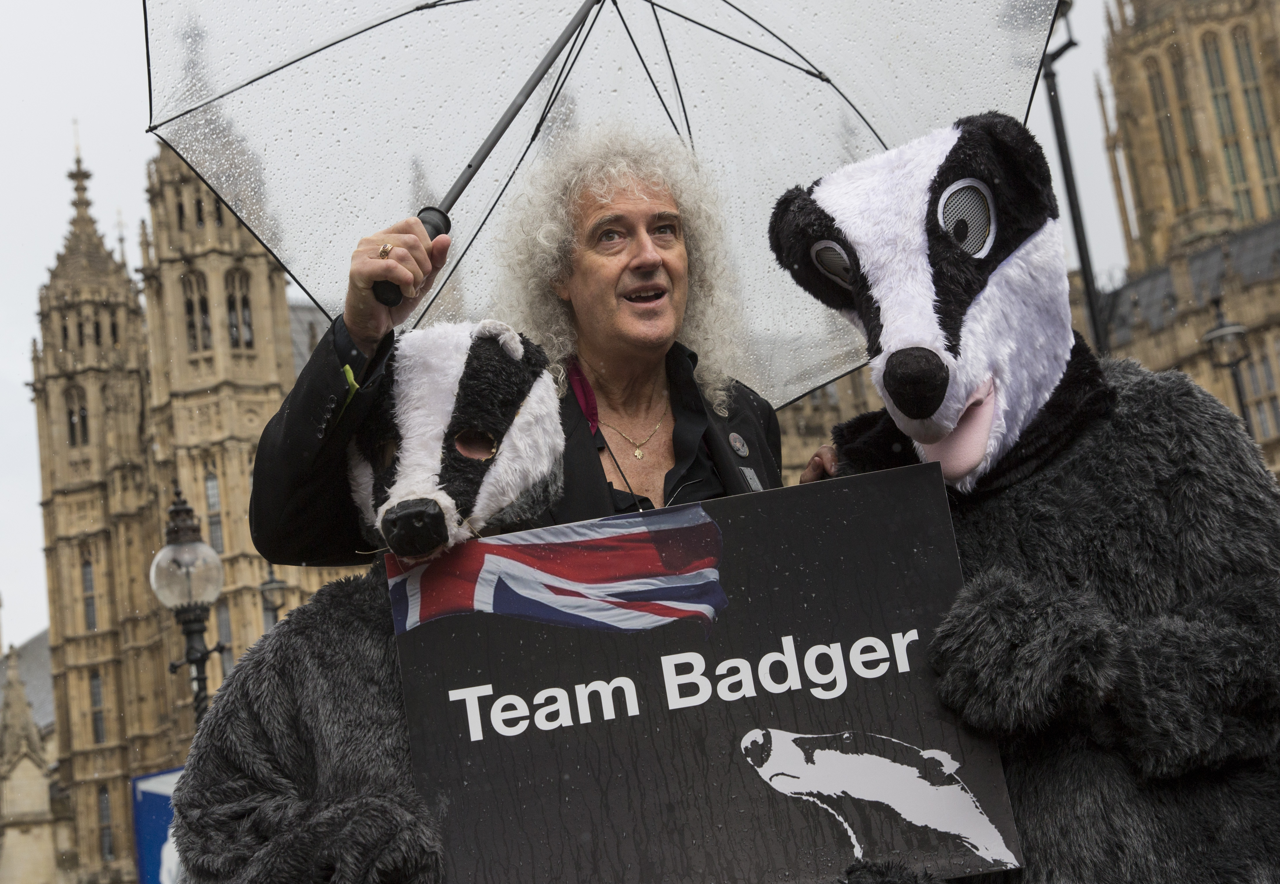 Brian May with badger costumes protesting a badger cull.