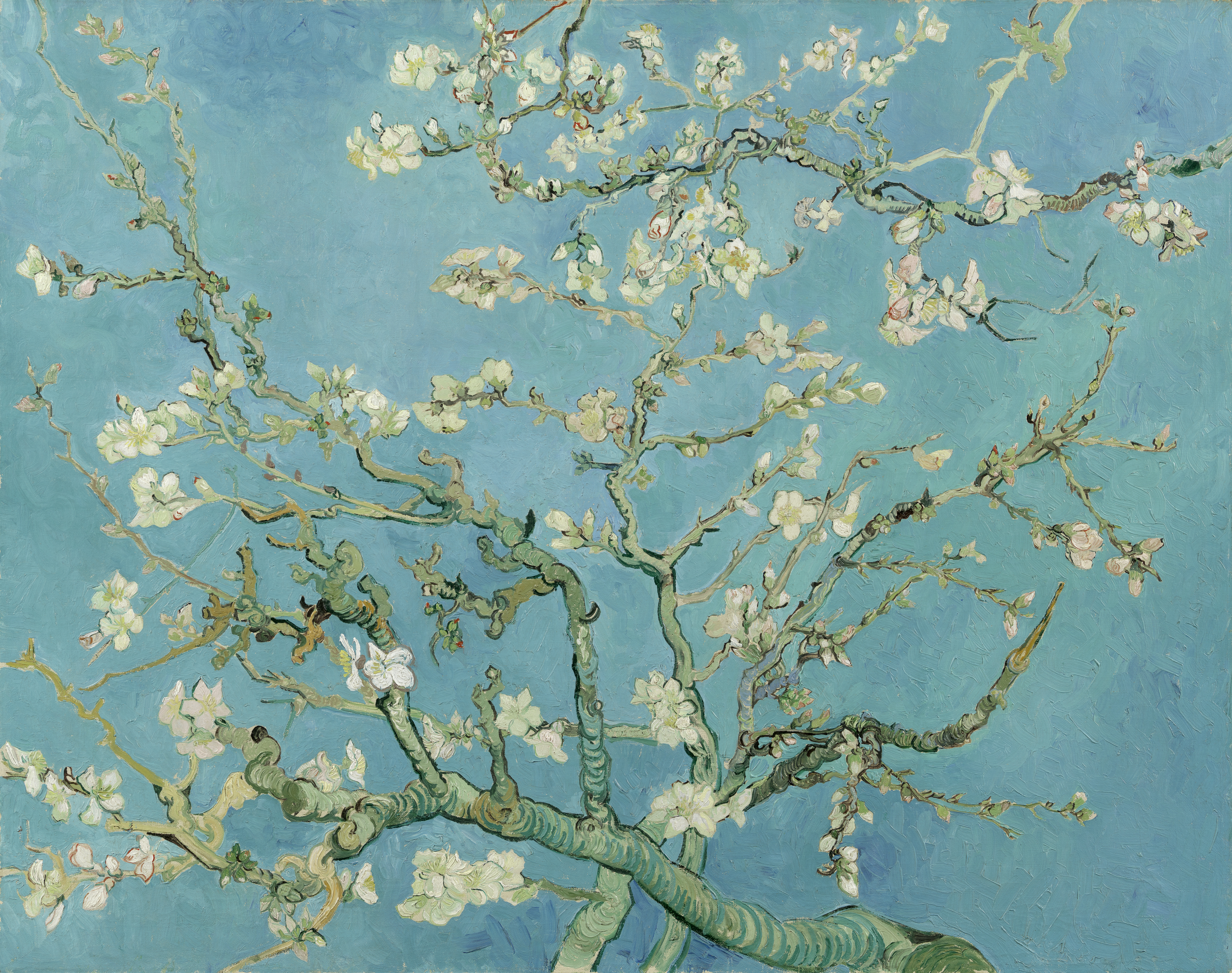 Van Gogh's painting of an almond blossom branch against a blue background.