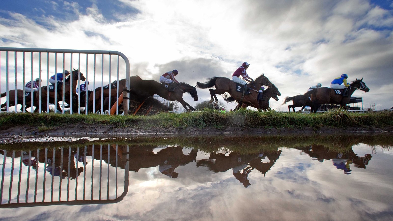 Thurles racecourse closes with immediate effect