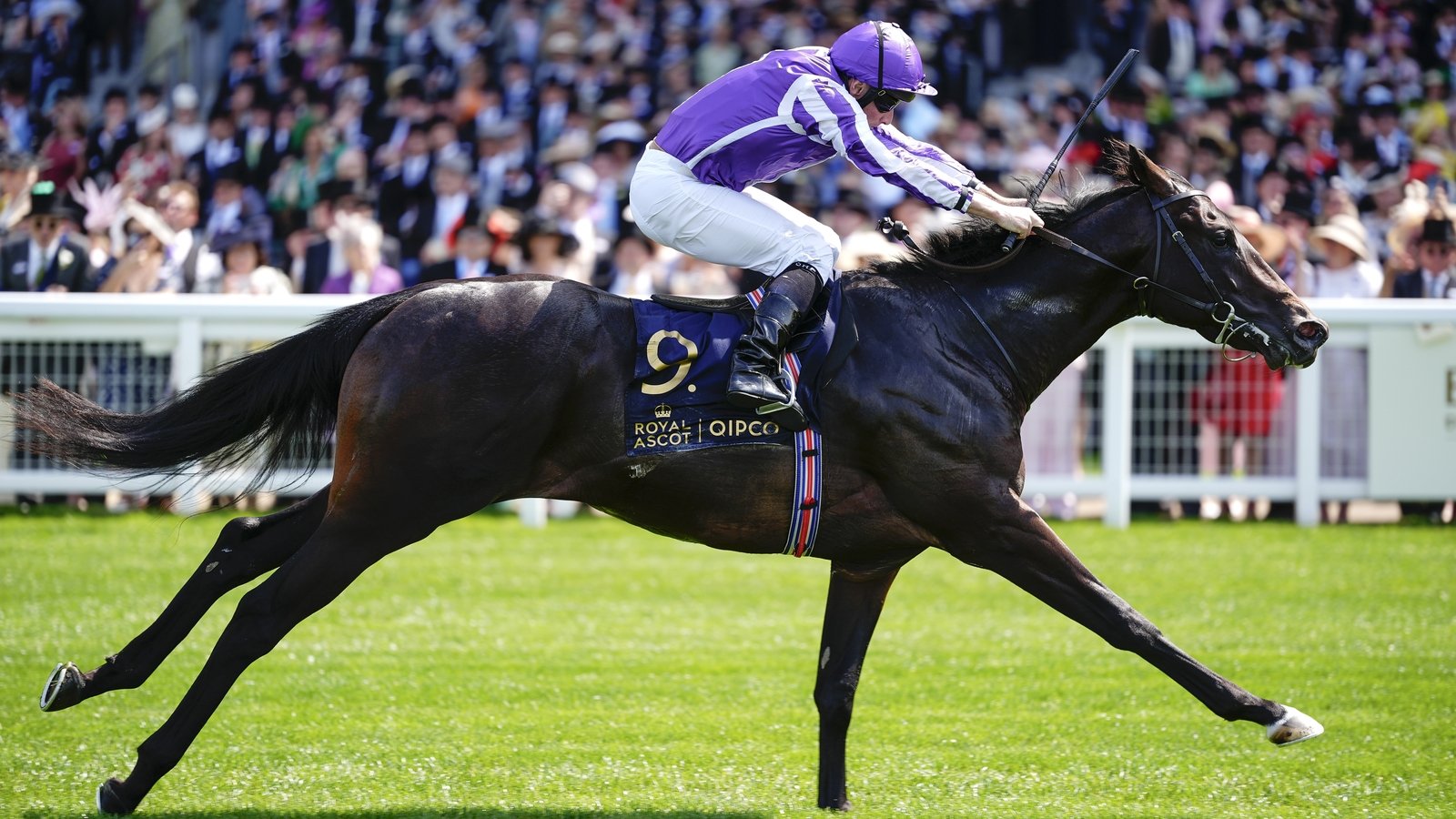 Gstaad 'a little quiet' ahead of Phoenix Stakes at HQ