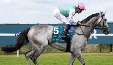 Field Of Gold to skip Juddmonte Stakes