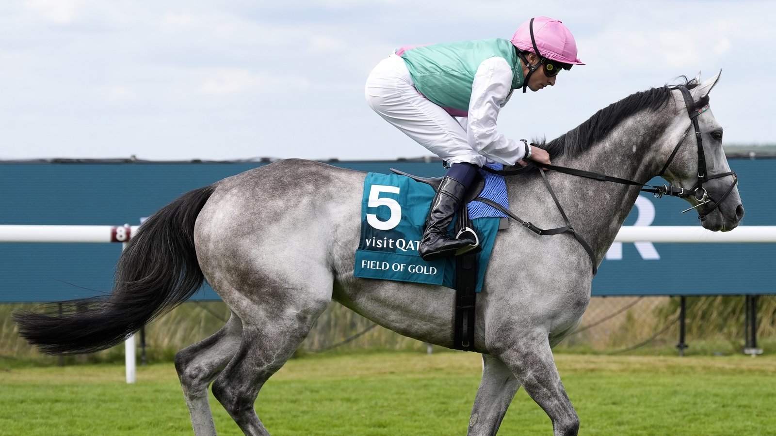 Field Of Gold to skip Juddmonte Stakes