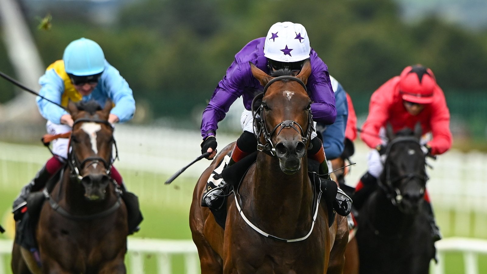 Arizona Blaze on course for 'wide open' Nunthorpe