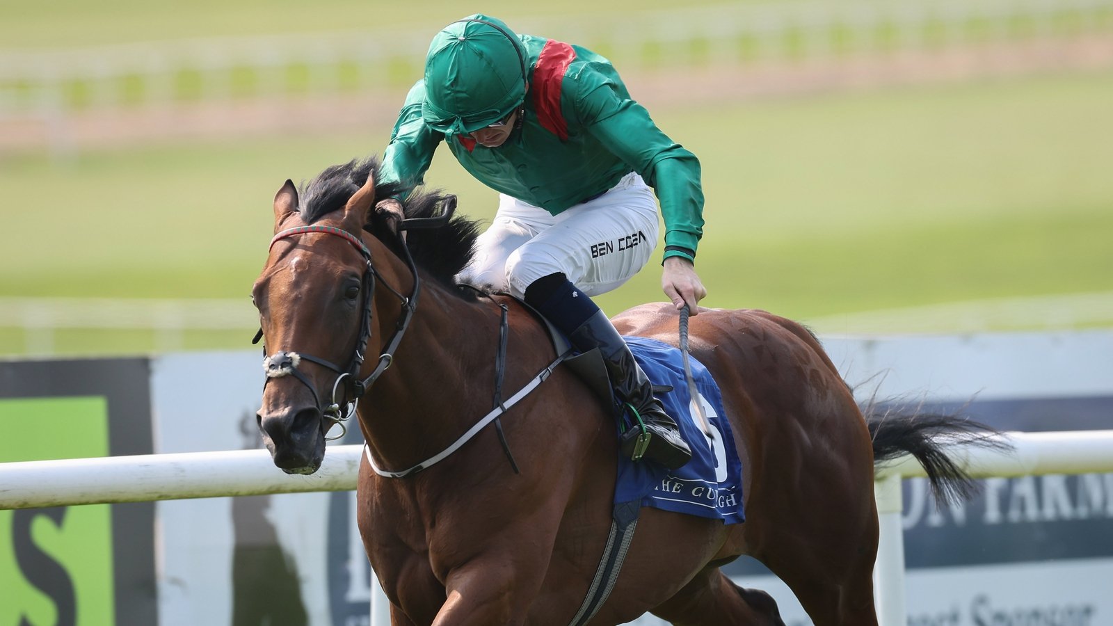Zahrann enhances credentials with Royal Whip victory