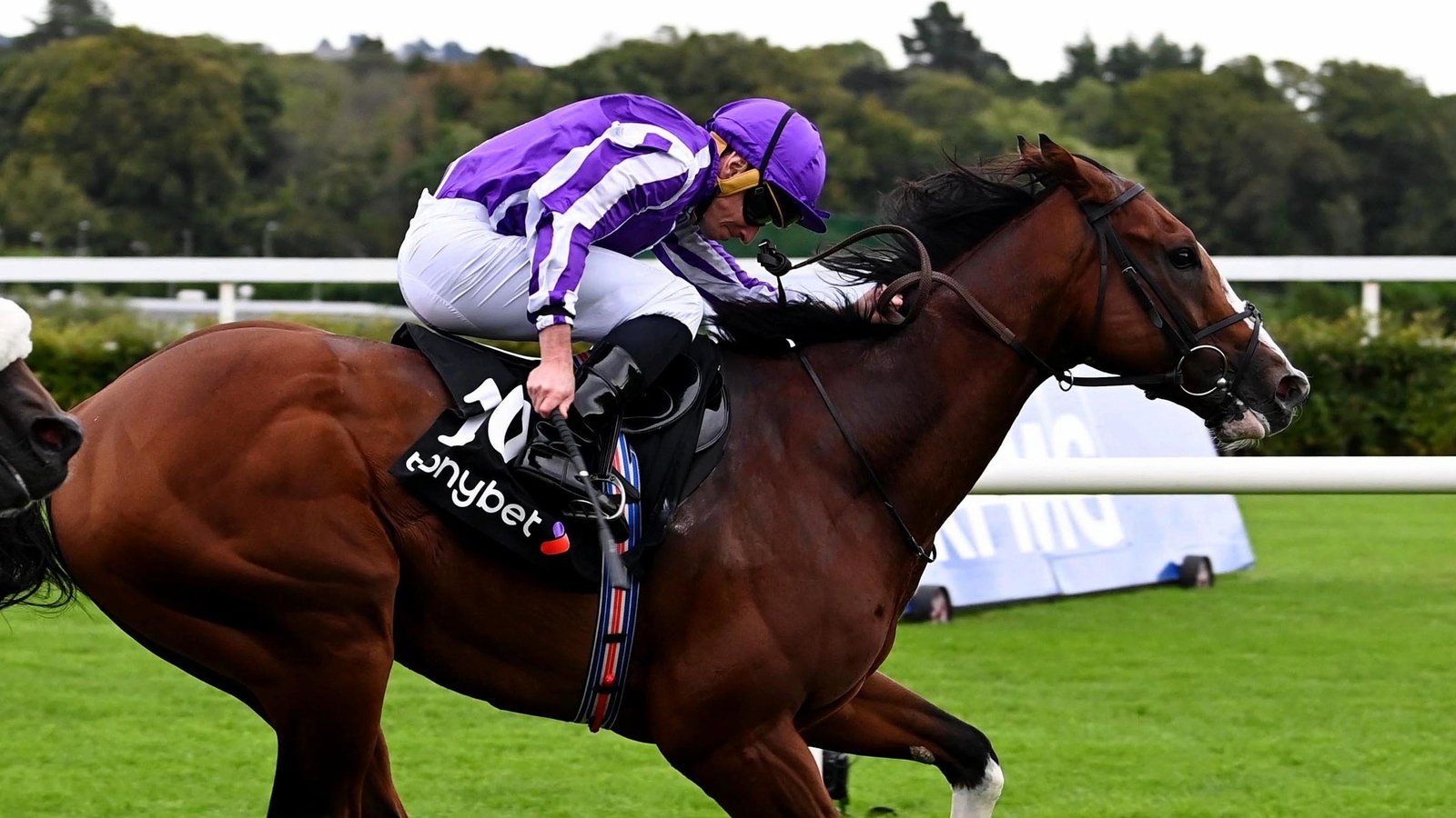 O'Brien's Diego Velazquez takes Deauville Group 1 prize