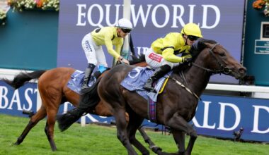 Lifeplan steps up to land the spoils in Gimcrack Stakes