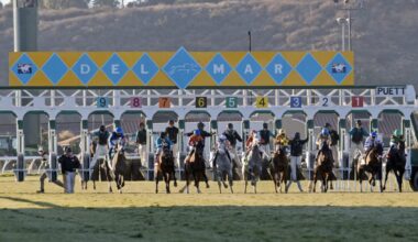 Best Races From Woodbine, M