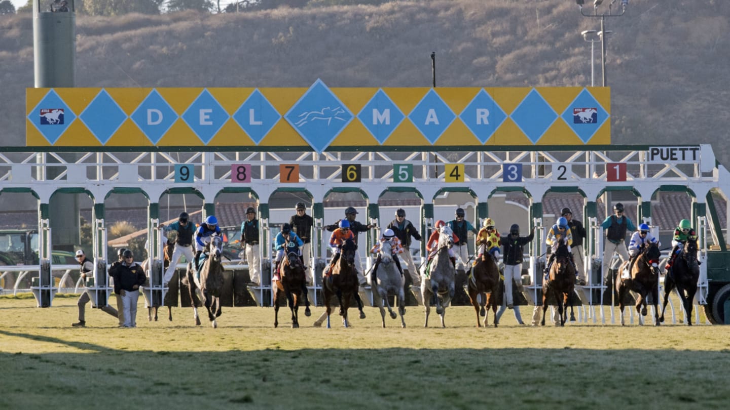 Best Races From Woodbine, M