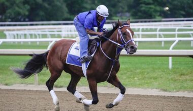 Stay away from Kentucky Derby winner Mystik Dan in turf debut in Arlington Million