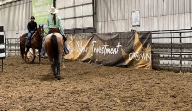 Barrel Racing Futurity and Derby Winners in Rock Springs