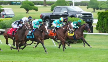 Laurelin puts undefeated status on line in graded stakes debut