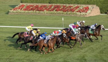 DRF's Horse Racing Playbook for Thursday, August 14, 2025