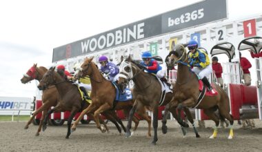 DRF's Horse Racing Playbook for Saturday, August 16, 2025