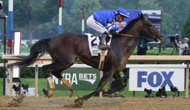 DRF's Horse Racing Playbook for Wednesday, August 20, 2025