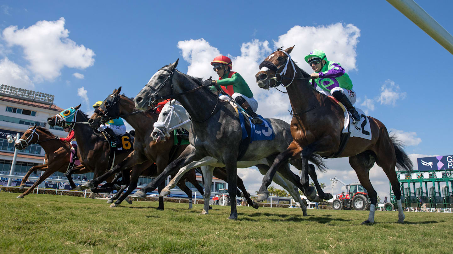 DRF's Horse Racing Playbook for Saturday, August 23, 2025